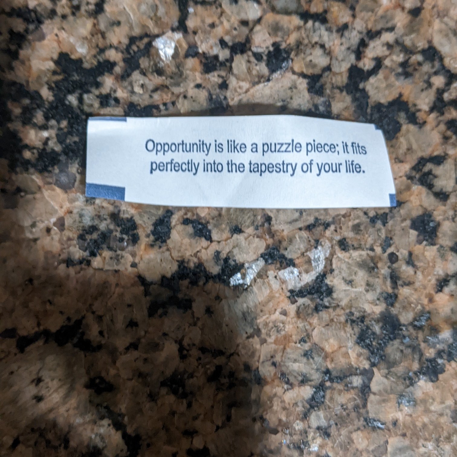 fortune cookie