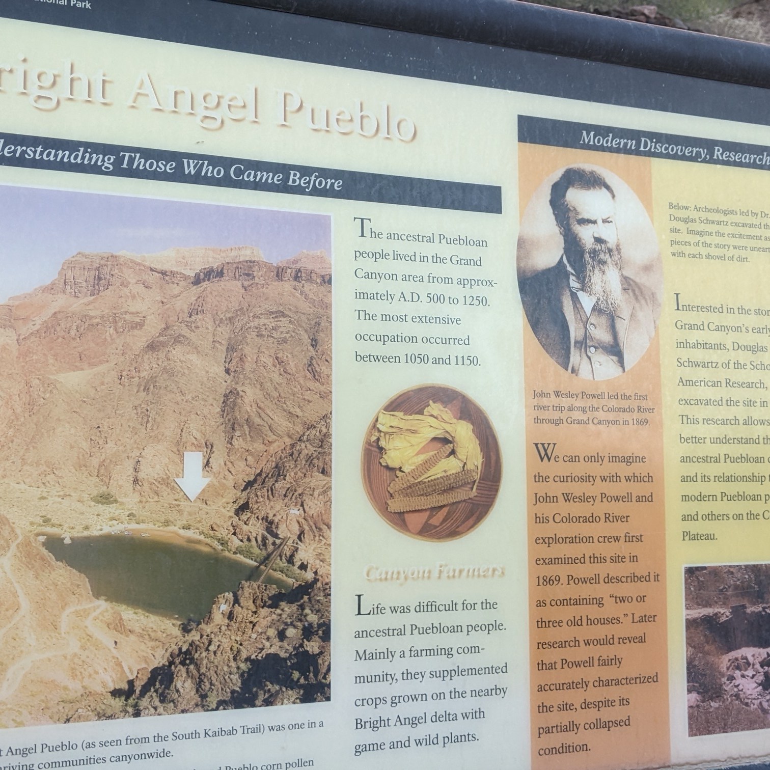 archaeology info 1
