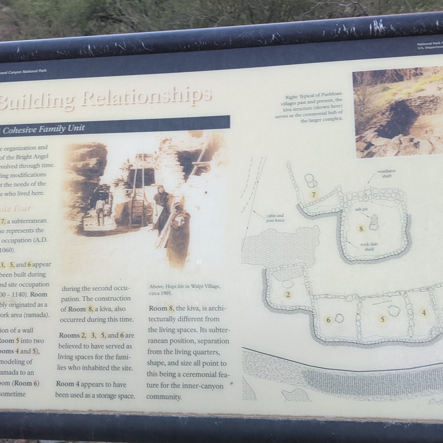 archaeology info 3