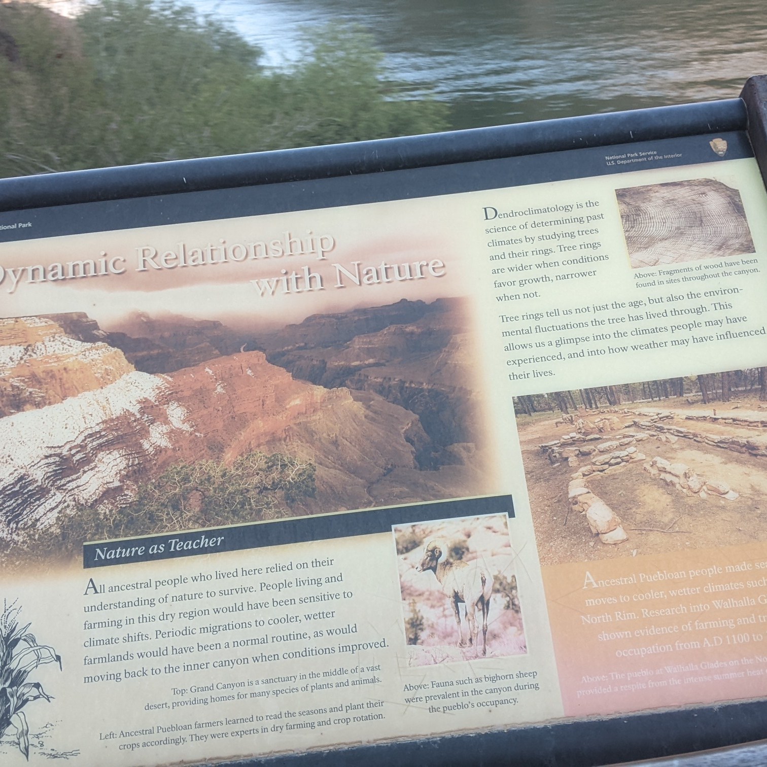archaeology info 4