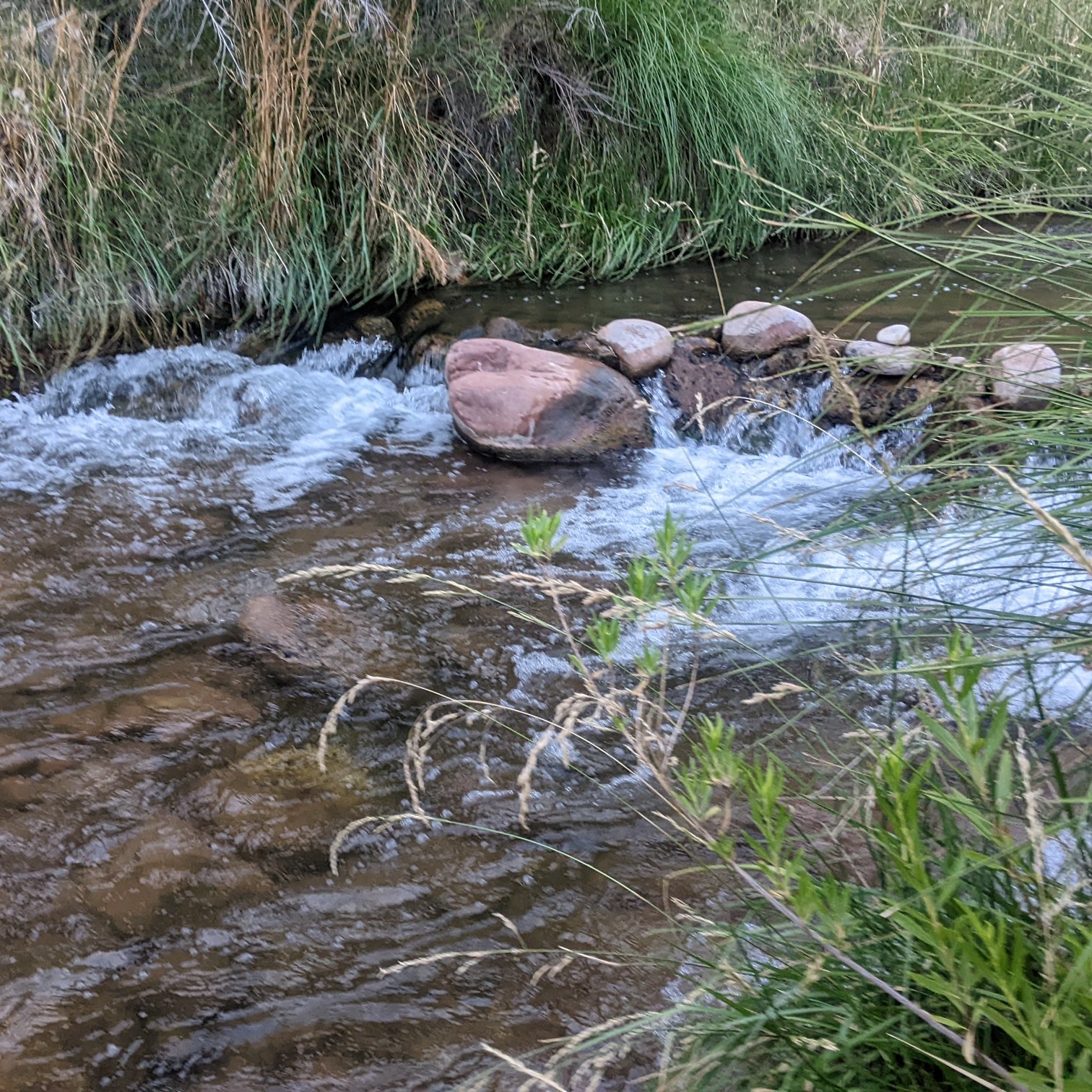a place of rest