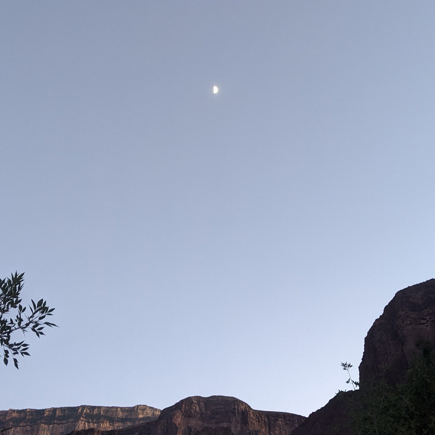 looking up from down for my first time and twilight approaches